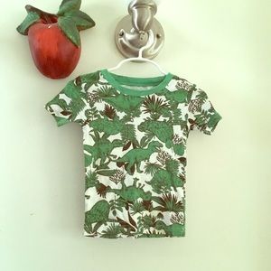 Dinosaur tee